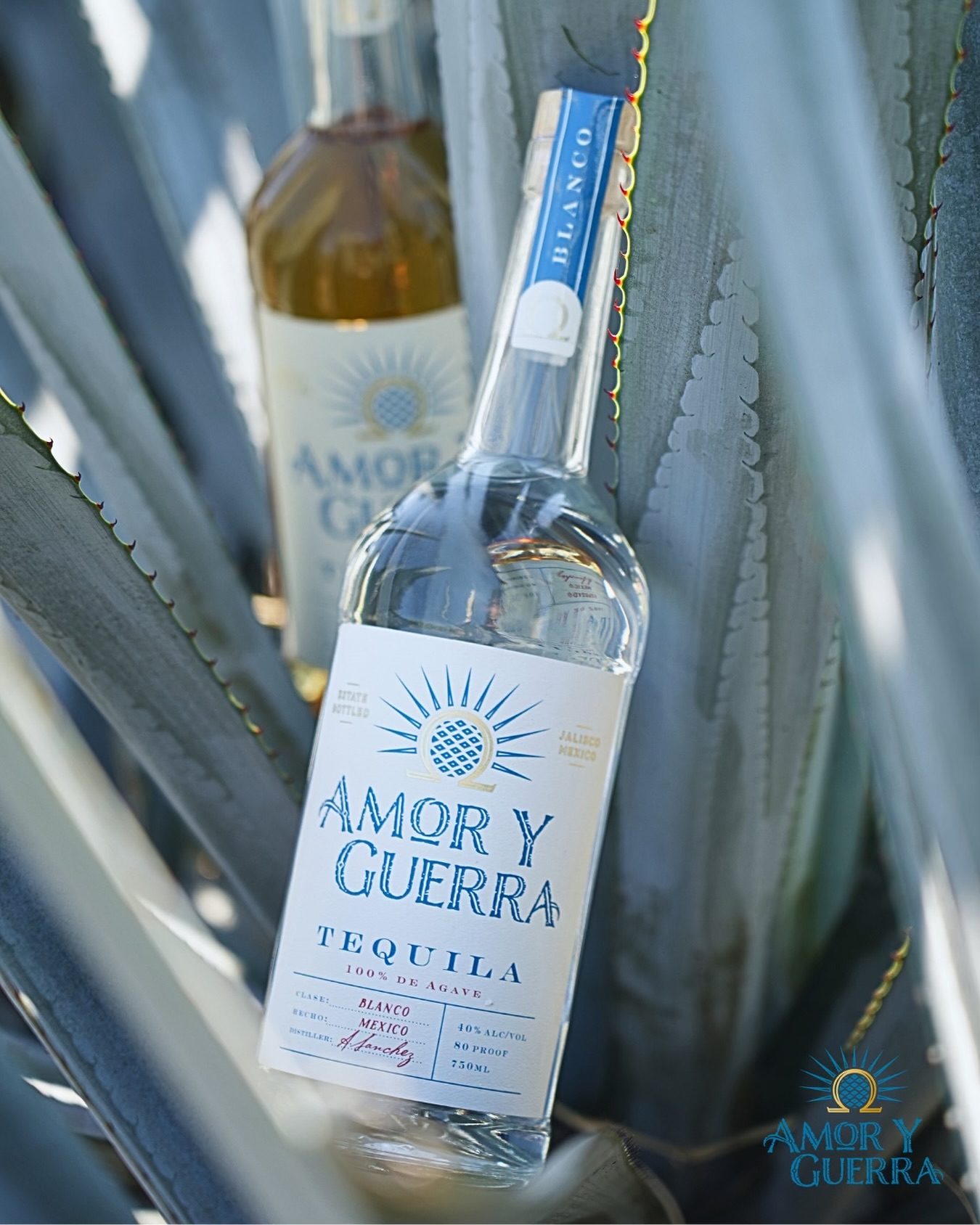Amor y Guerra · 4